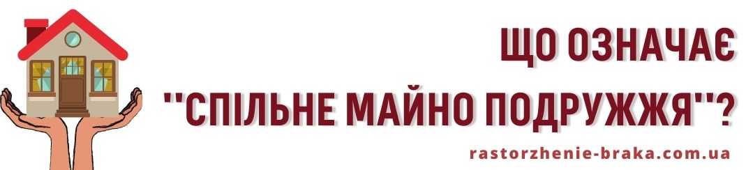 Що означає спільне майно подружжя?