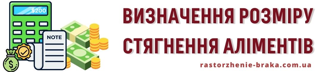 Визначення розміру стягнення аліментів Визначення розміру стягнення аліментів