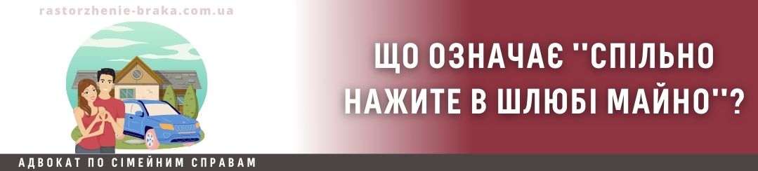 Що таке спільно нажите в шлюбі майно? Що таке спільно нажите в шлюбі майно?