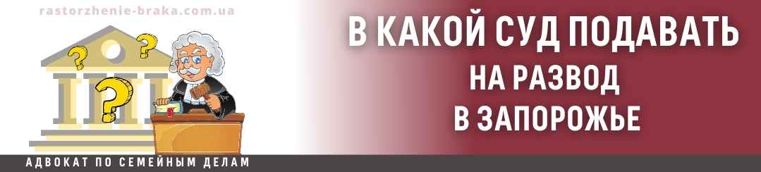 В какой суд подавать на развод в Запорожье?