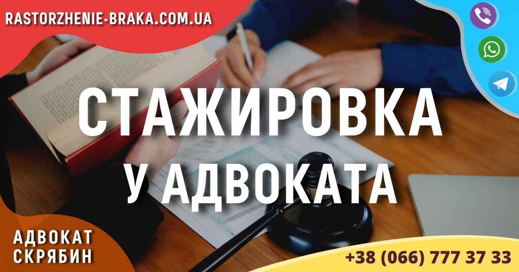 Стажировка у адвоката